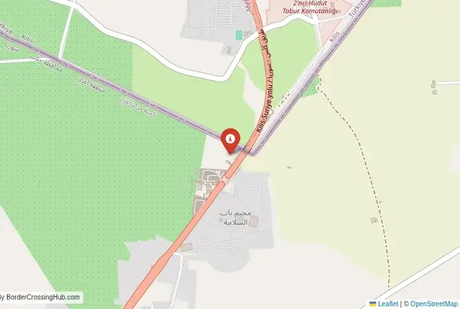 Close-up map showing a border crossing point with marker at the selected land port of entry between Syria and Turkey