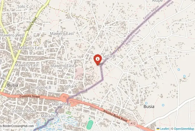Close-up map showing a border crossing point with marker at the selected land port of entry between Kenya and Uganda