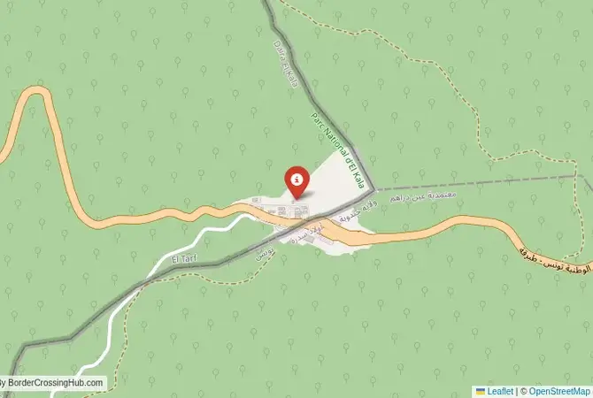 Close-up map showing a border crossing point with marker at the selected land port of entry between Algeria and Tunisia