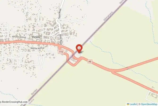 Close-up map showing a border crossing point with marker at the selected land port of entry between Kenya and Tanzania
