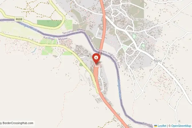 Close-up map showing a border crossing point with marker at the selected land port of entry between Tanzania and Malawi