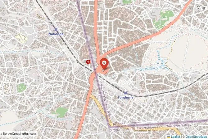 Close-up map showing a border crossing point with marker at the selected land port of entry between Tanzania and Zambia
