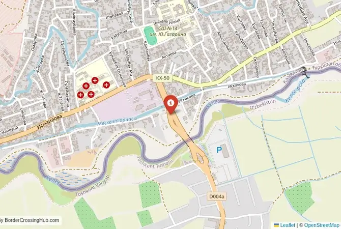 Close-up map showing a border crossing point with marker at the selected land port of entry between Uzbekistan and Kazakhstan