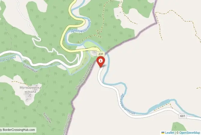 Close-up map showing a border crossing point with marker at the selected land port of entry between Bulgaria and Serbia