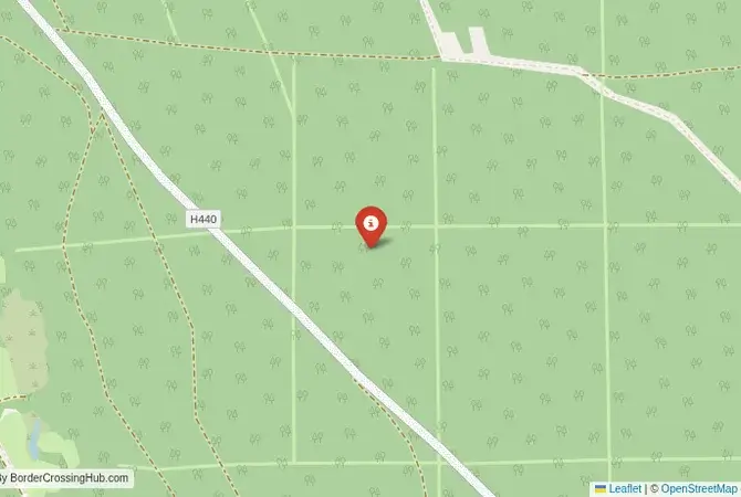 Close-up map showing a border crossing point with marker at the selected land port of entry between Belarus and Ukraine