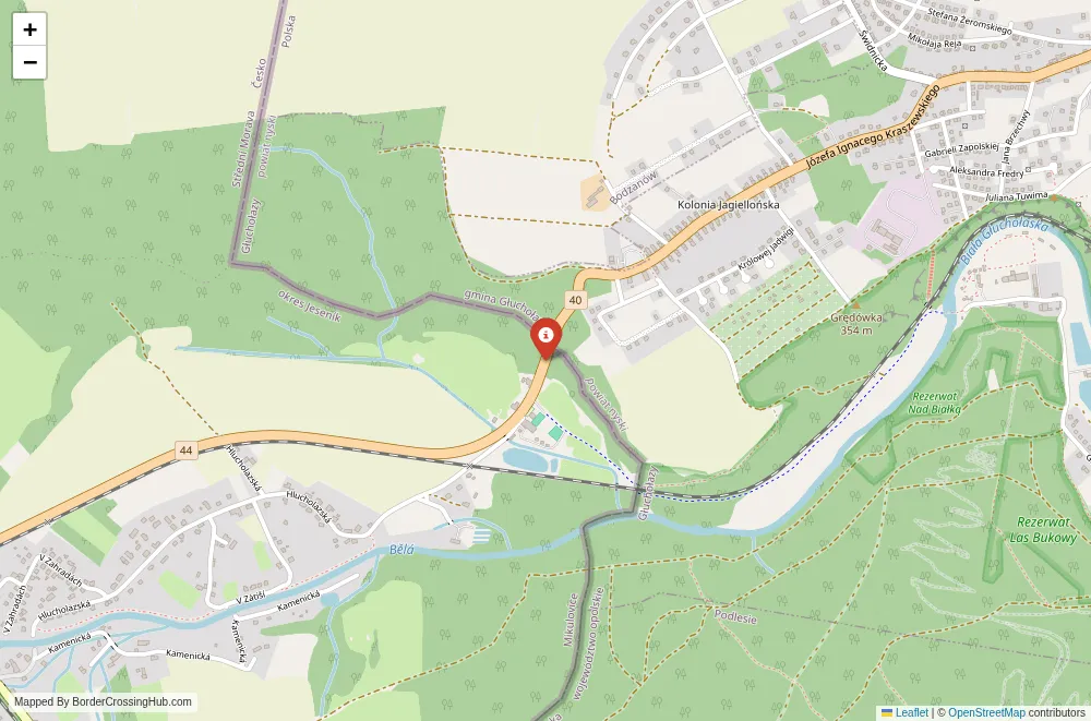Close-up map showing a border crossing point with marker at the selected land port of entry between Poland and Czech Republic