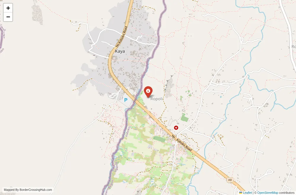 Close-up map showing a border crossing point with marker at the selected land port of entry between South Sudan and Uganda
