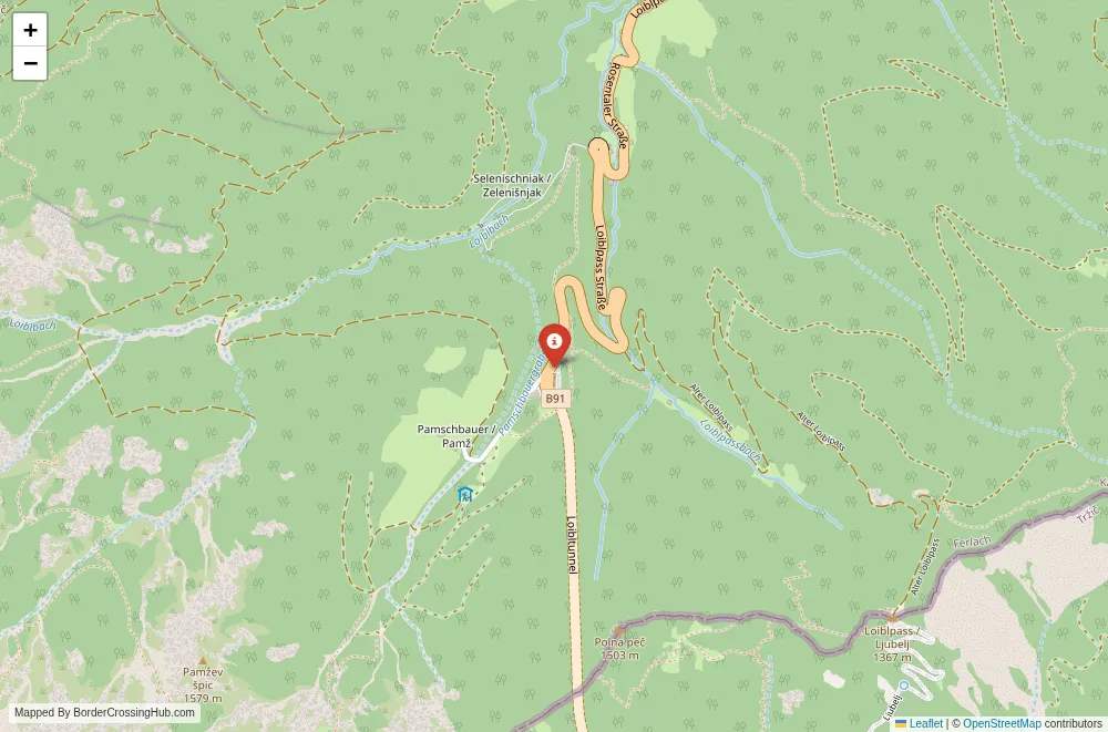 Close-up map showing a border crossing point with marker at the selected land port of entry between Austria and Slovenia