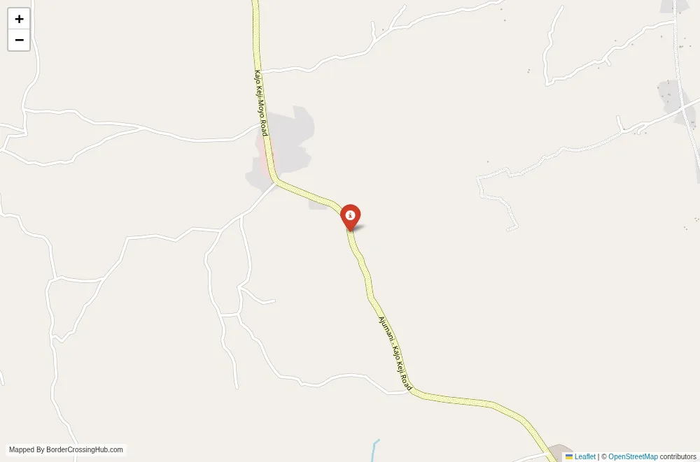 Close-up map showing a border crossing point with marker at the selected land port of entry between South Sudan and Uganda