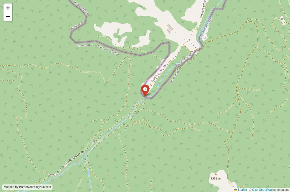 Close-up map showing a border crossing point with marker at the selected land port of entry between Armenia and Georgia