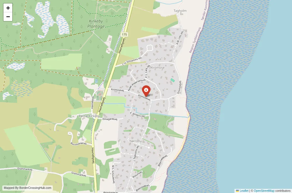 Close-up map showing a border crossing point with marker at the selected land port of entry between Denmark and Germany