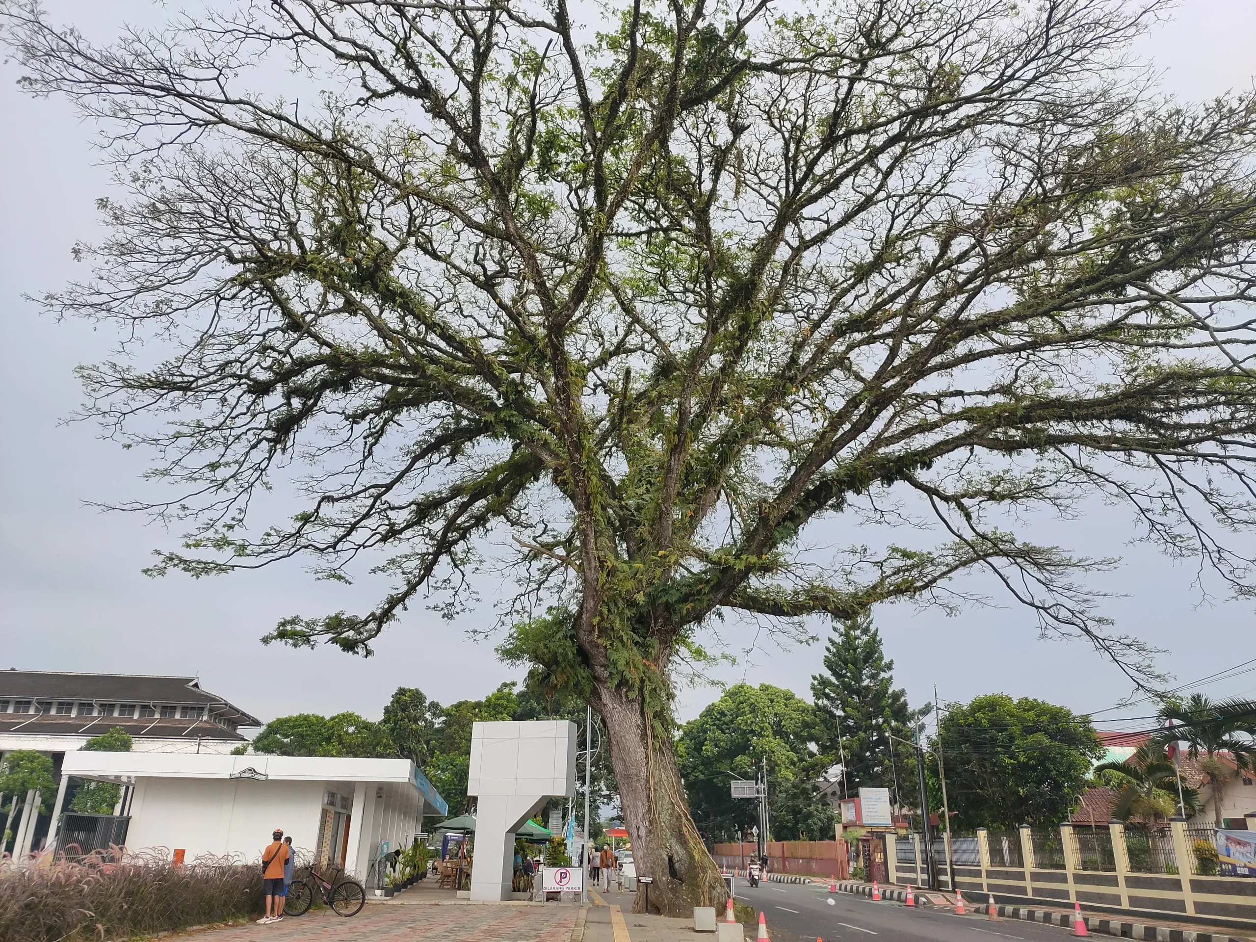 Landmark in Sierra Leone