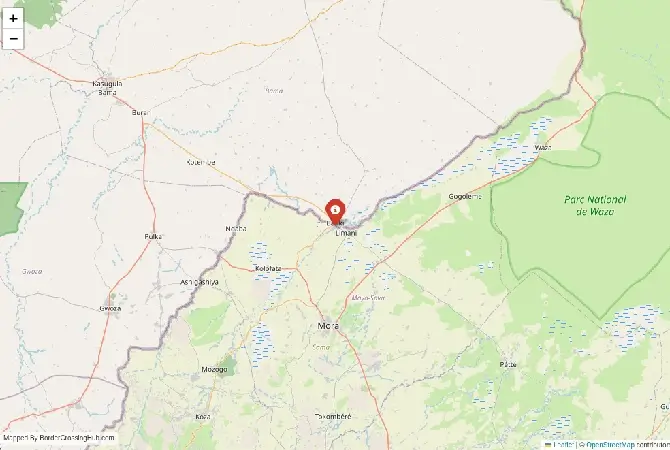 Close-up map showing a border crossing point with marker at the selected land port of entry between Nigeria and Cameroon
