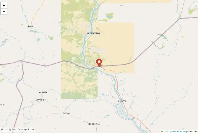 Close-up map showing a border crossing point with marker at the selected land port of entry between Niger and Mali