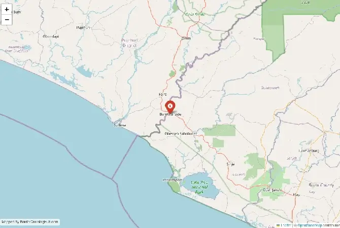 Close-up map showing a border crossing point with marker at the selected land port of entry between Liberia and Sierra Leone
