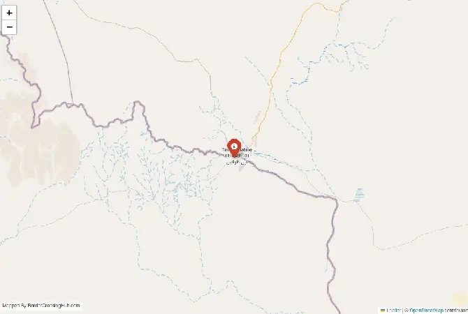 Close-up map showing a border crossing point with marker at the selected land port of entry between Mali and Algeria