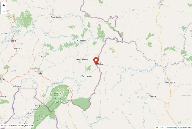Close-up map showing a border crossing point with marker at the selected land port of entry between Ivory Coast and Guinea