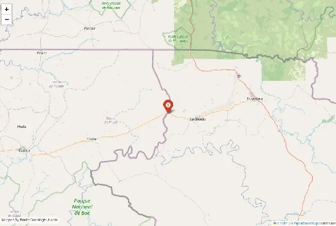 Close-up map showing a border crossing point with marker at the selected land port of entry between Guinea-Bissau and Guinea