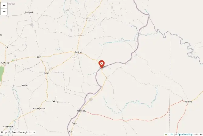Close-up map showing a border crossing point with marker at the selected land port of entry between Benin and Nigeria