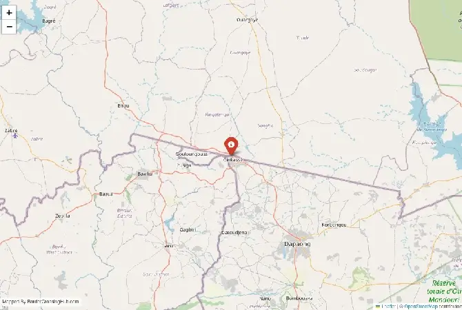 Close-up map showing a border crossing point with marker at the selected land port of entry between Burkina Faso and Togo