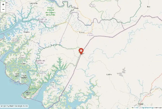 Close-up map showing a border crossing point with marker at the selected land port of entry between Guinea-Bissau and Guinea