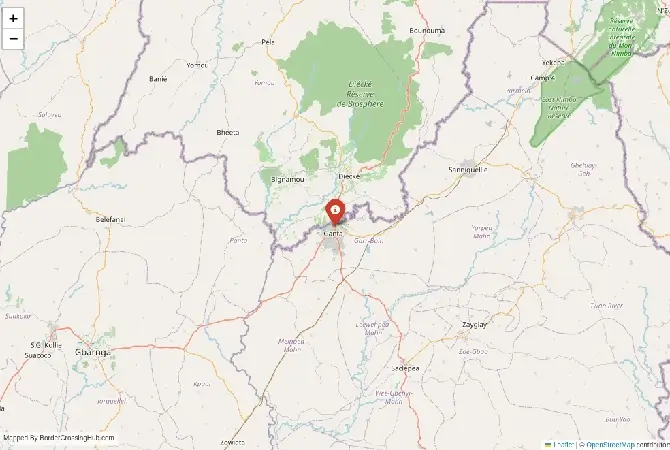 Close-up map showing a border crossing point with marker at the selected land port of entry between Liberia and Guinea