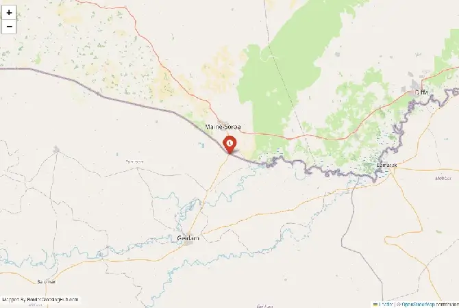 Close-up map showing a border crossing point with marker at the selected land port of entry between Niger and Chad