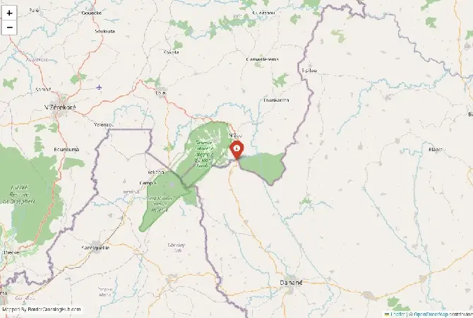 Close-up map showing a border crossing point with marker at the selected land port of entry between Ivory Coast and Guinea