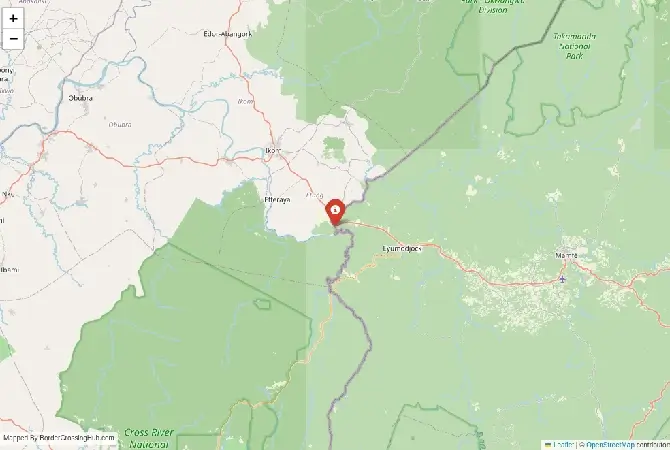 Close-up map showing a border crossing point with marker at the selected land port of entry between Nigeria and Cameroon