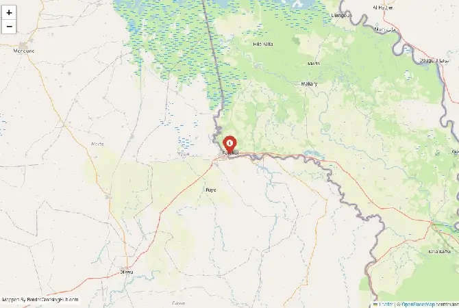 Close-up map showing a border crossing point with marker at the selected land port of entry between Nigeria and Chad