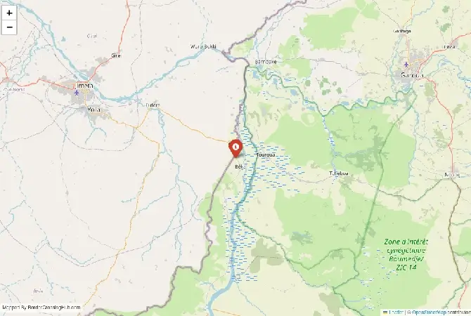 Close-up map showing a border crossing point with marker at the selected land port of entry between Nigeria and Cameroon
