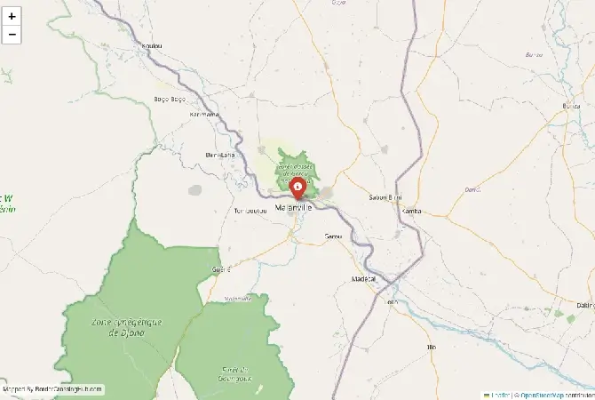 Close-up map showing a border crossing point with marker at the selected land port of entry between Benin and Niger