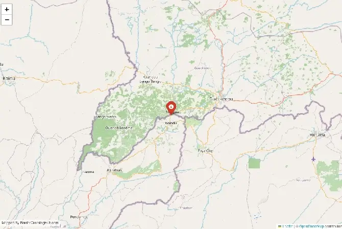 Close-up map showing a border crossing point with marker at the selected land port of entry between Guinea and Sierra Leone