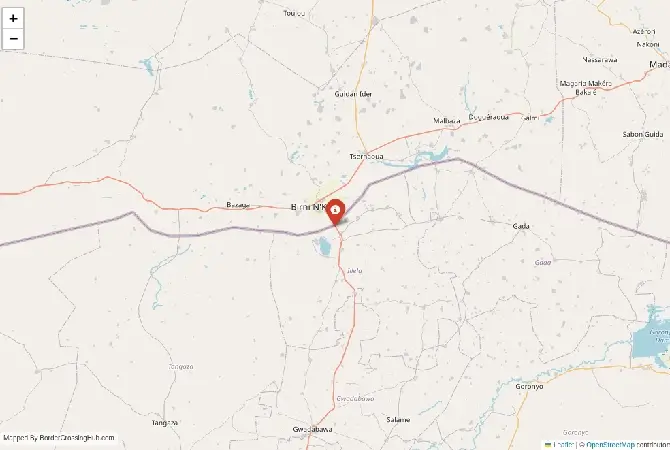 Close-up map showing a border crossing point with marker at the selected land port of entry between Nigeria and Niger