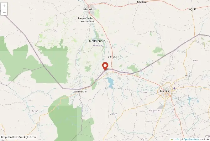 Close-up map showing a border crossing point with marker at the selected land port of entry between Nigeria and Niger