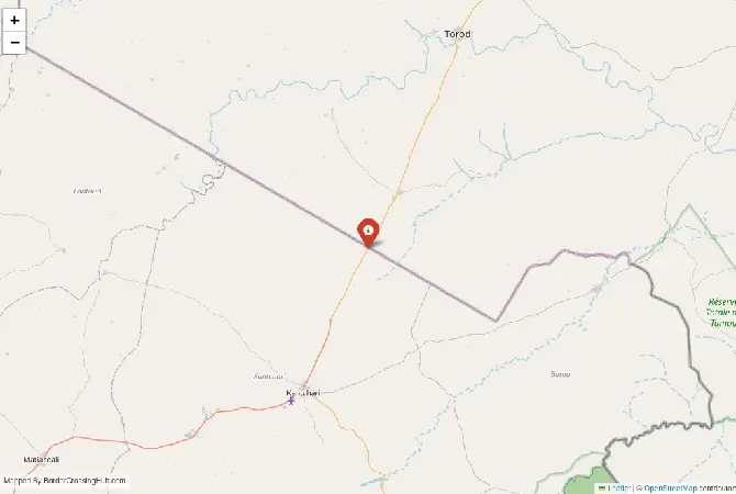 Close-up map showing a border crossing point with marker at the selected land port of entry between Burkina Faso and Niger