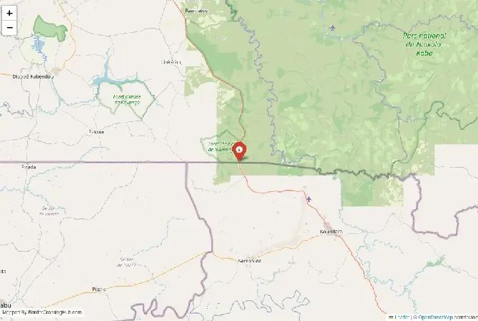 Close-up map showing a border crossing point with marker at the selected land port of entry between Senegal and Guinea