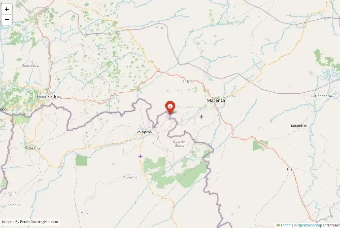 Close-up map showing a border crossing point with marker at the selected land port of entry between Liberia and Guinea