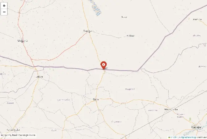 Close-up map showing a border crossing point with marker at the selected land port of entry between Nigeria and Niger