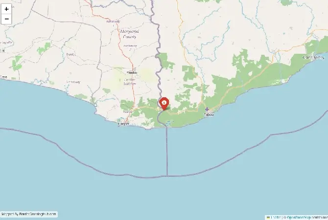 Close-up map showing a border crossing point with marker at the selected land port of entry between Liberia and Ivory Coast